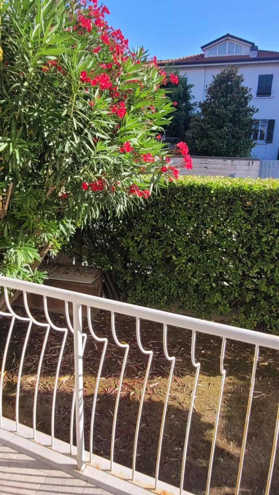 Appartamento Stella Marina A Due Passi Dal Mare E Dal Centro Marina Di Carrara Dış mekan fotoğraf